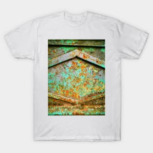 ABSOLUTELY FABULOUS. ROYAL GEM OPAL RUST T-Shirt